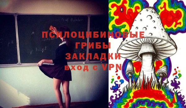 круглые Дмитриев