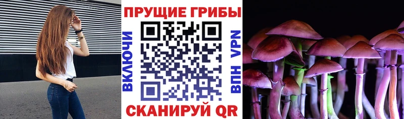 Купить где  Очёр  Псилоцибиновые грибы Psilocybine cubensis 